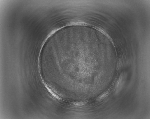 X0000059801037200510241324