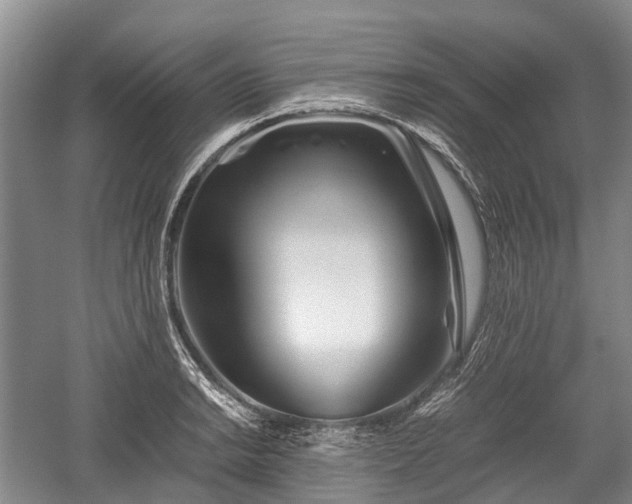 X0000059801038200510241324