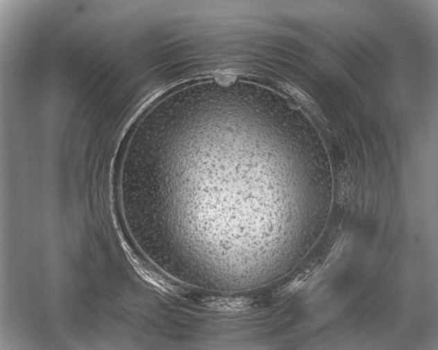 X0000059801039200510241324