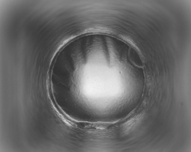 X0000059801040200510241324