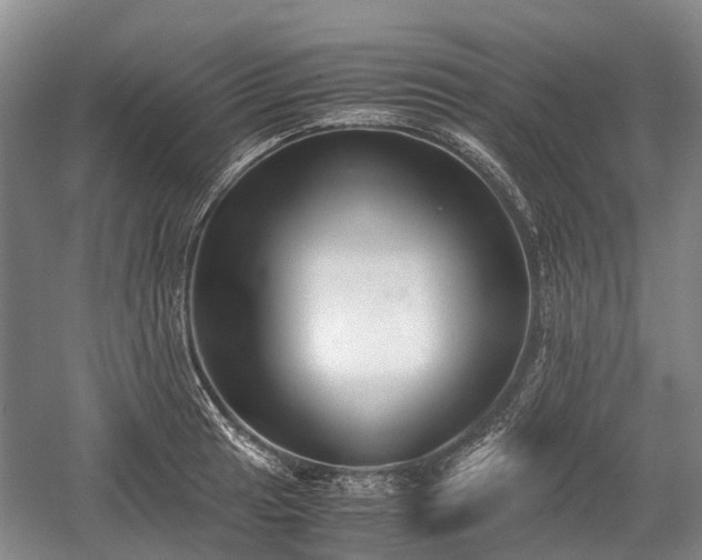 X0000059801041200510241324