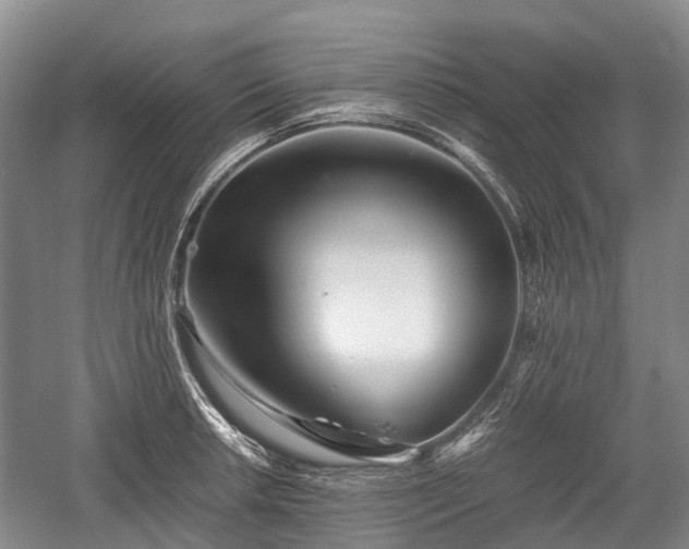 X0000059801042200510241324