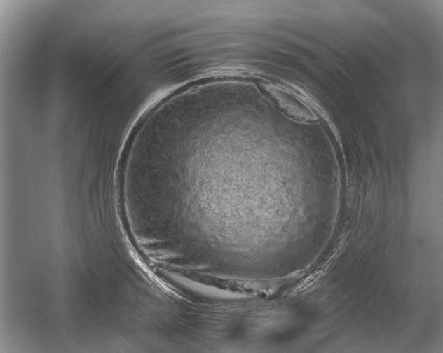 X0000059801045200510241324