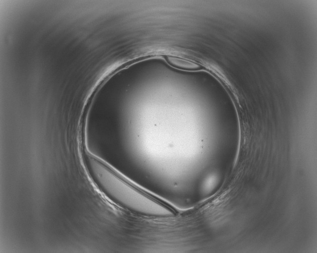 X0000059801048200510241324