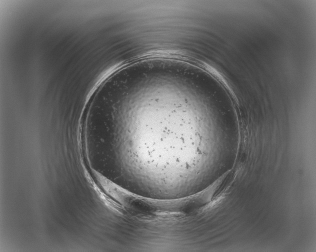 X0000059801050200510241324