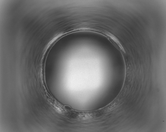 X0000059801051200510241324