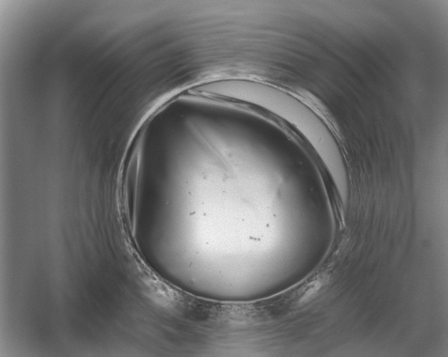 X0000059801052200510241324