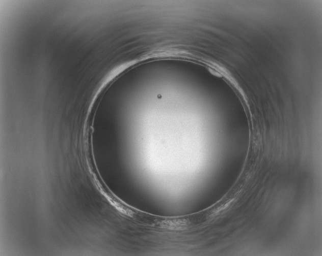 X0000059801053200510241324