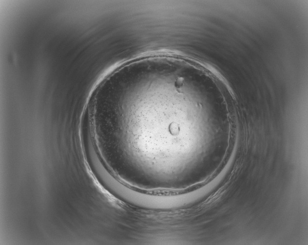 X0000059801054200510241324