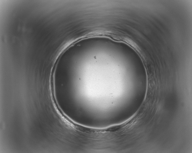 X0000059801055200510241324