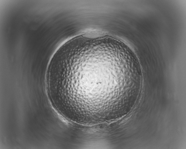 X0000059801056200510241324