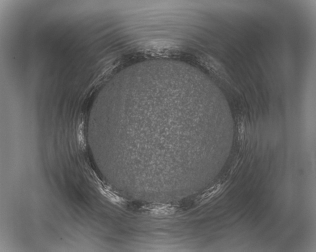 X0000059801060200510241323