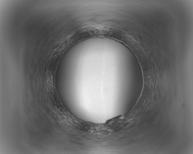 X0000059801061200510241323