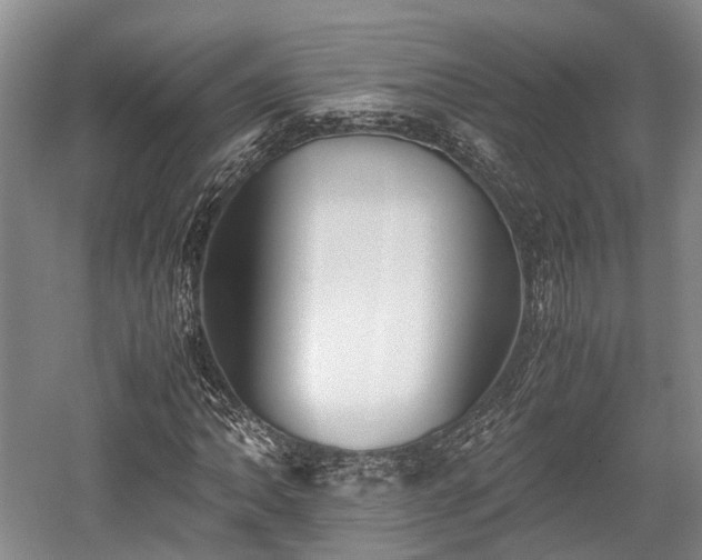 X0000059801062200510241323