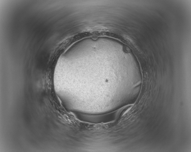 X0000059801063200510241323