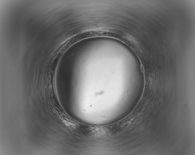 X0000059801064200510241323