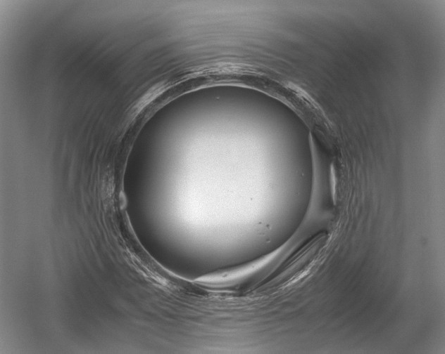 X0000059801065200510241323