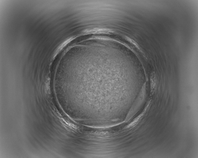 X0000059801066200510241323