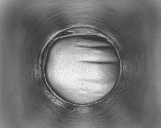 X0000059801068200510241323