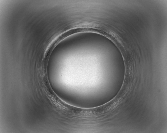 X0000059801069200510241323