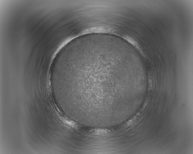 X0000059801070200510241323