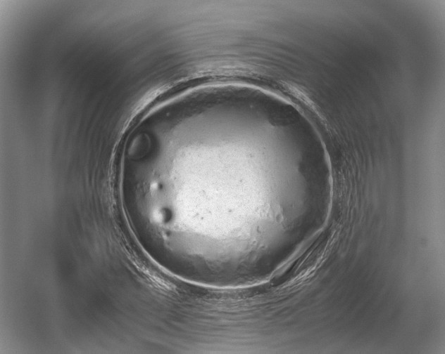 X0000059801071200510241323