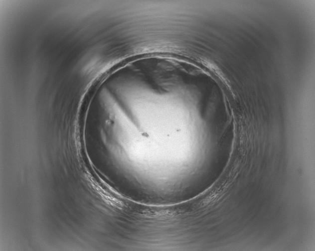 X0000059801072200510241323