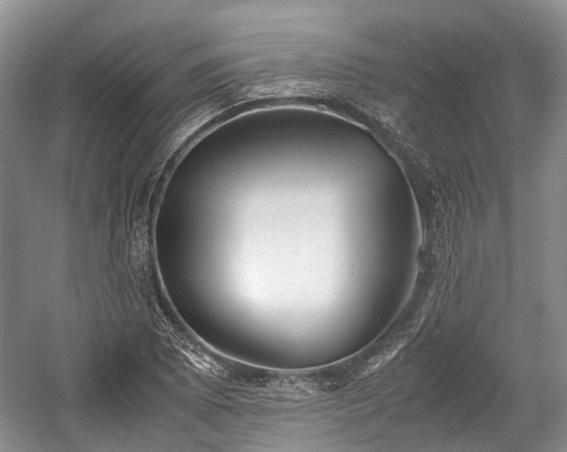 X0000059801073200510241323