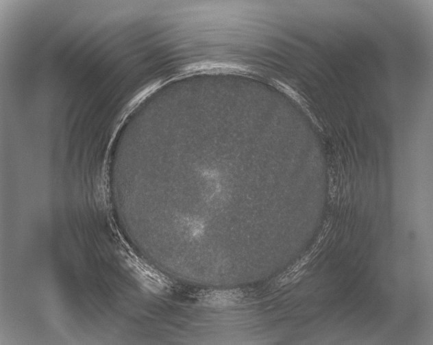 X0000059801074200510241323