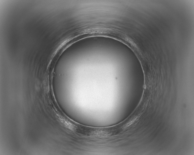 X0000059801075200510241323