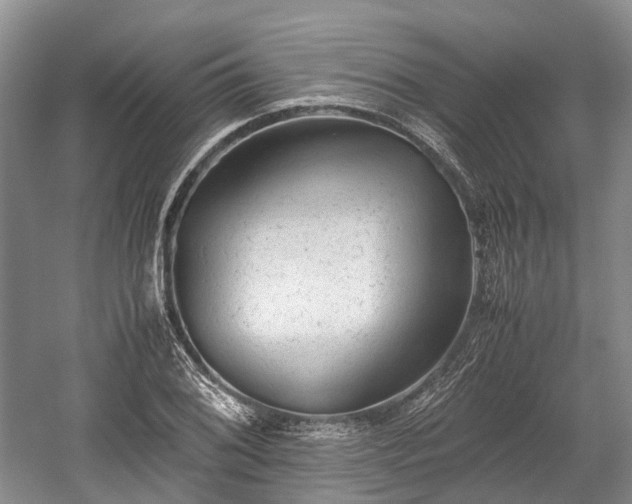 X0000059801076200510241323