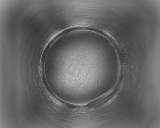 X0000059801077200510241323