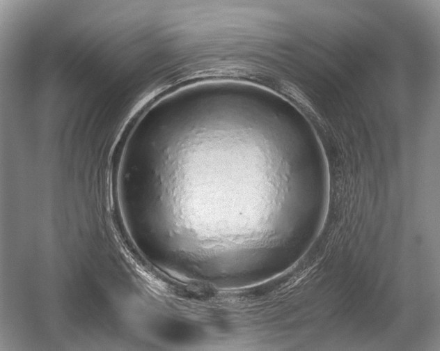 X0000059801079200510241323