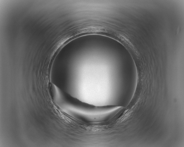 X0000059801081200510241323