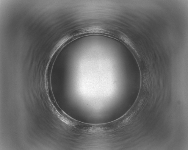 X0000059801082200510241323