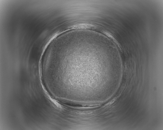 X0000059801083200510241323