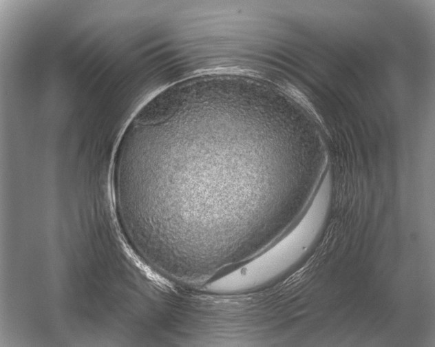 X0000059801084200510241323