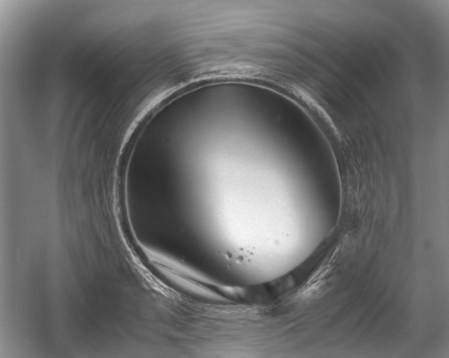 X0000059801085200510241323