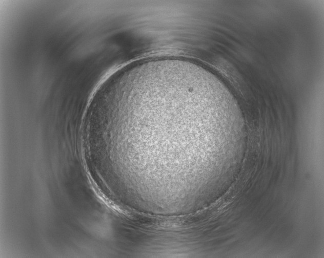 X0000059801086200510241323