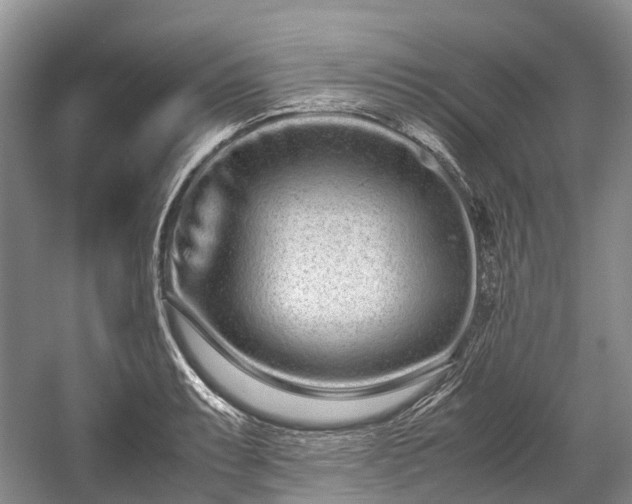 X0000059801087200510241323