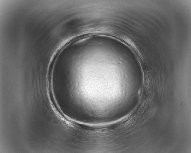 X0000059801088200510241323