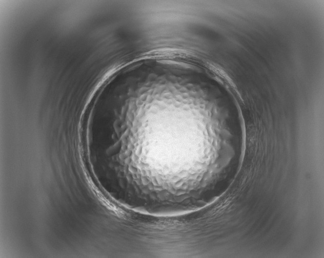 X0000059801091200510241323