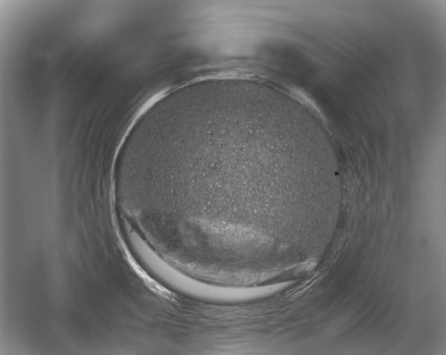 X0000059801095200510241323