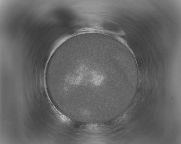 X0000059801098200510241323