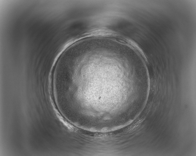 X0000059801099200510241323