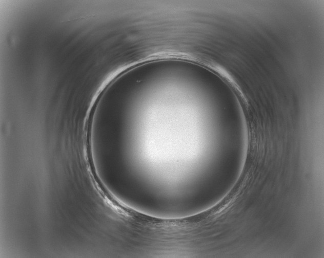 X0000059801102200510241322