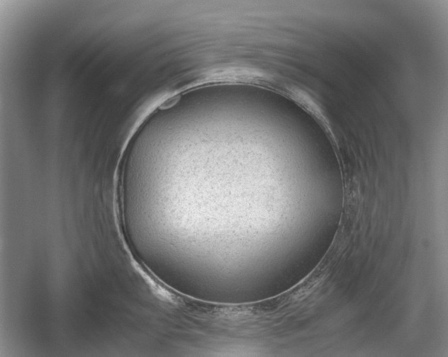 X0000059801103200510241322