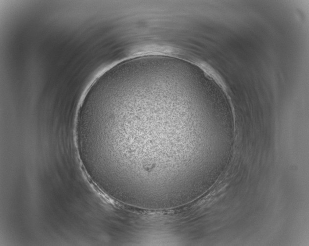 X0000059801104200510241322