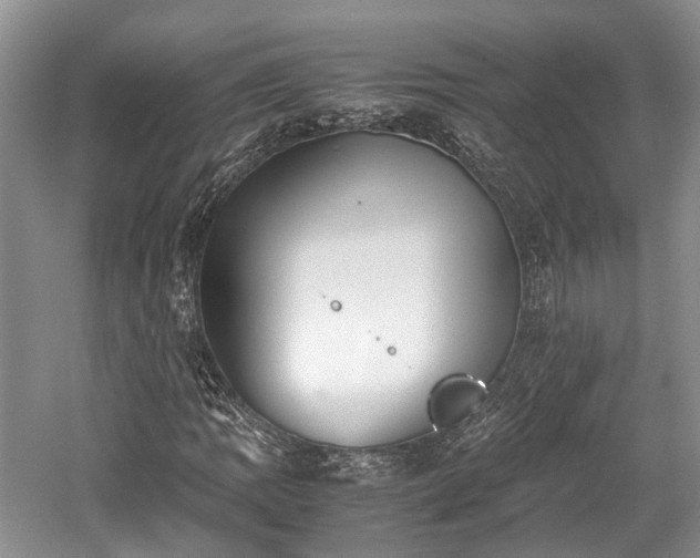 X0000059801109200510241322