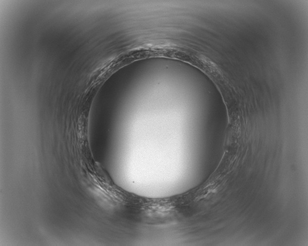 X0000059801110200510241322